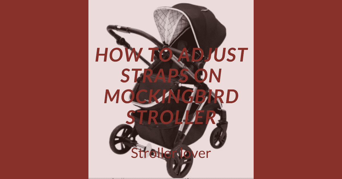How to Adjust Straps on Mockingbird Stroller