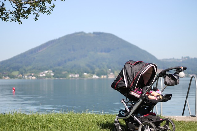 which stroller is best for air travel